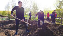 Депутаты маслихата посадили деревья на территории социального центра в Астане