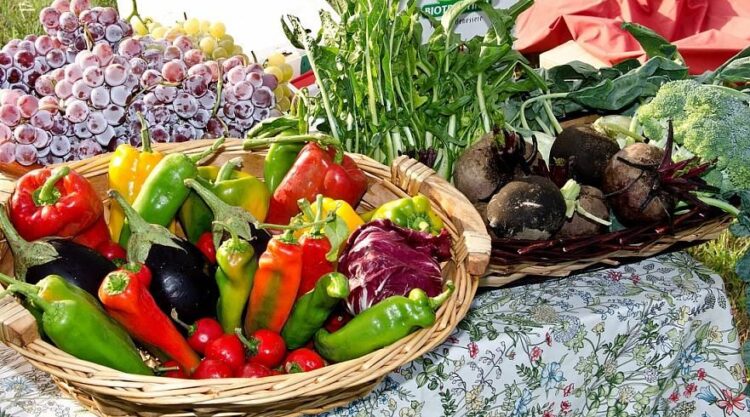Сколько семей имеют доходы ниже стоимости потребительской корзины в Казахстане